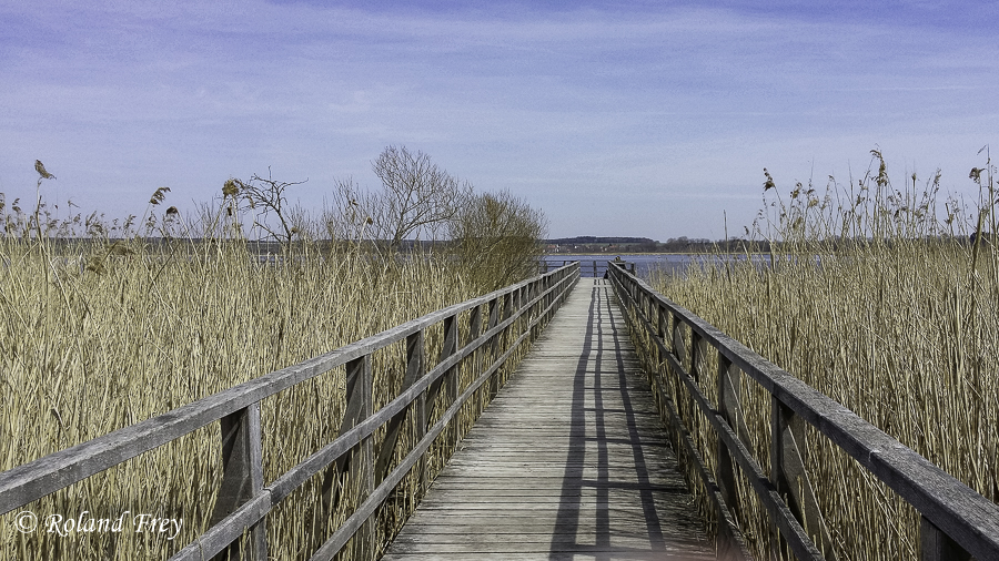 Am Federsee